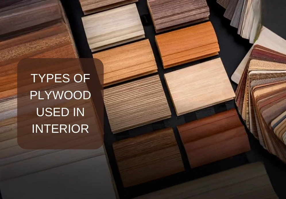 Which Plywood Is Best for Wardrobe, Cabinets & Interior Work?